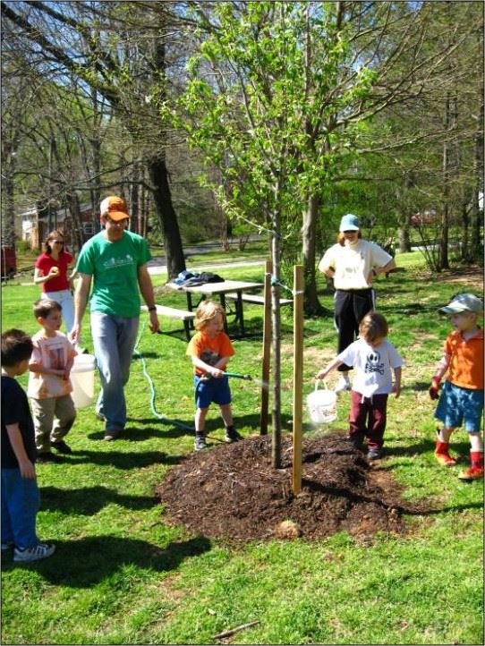 planting diverse trees