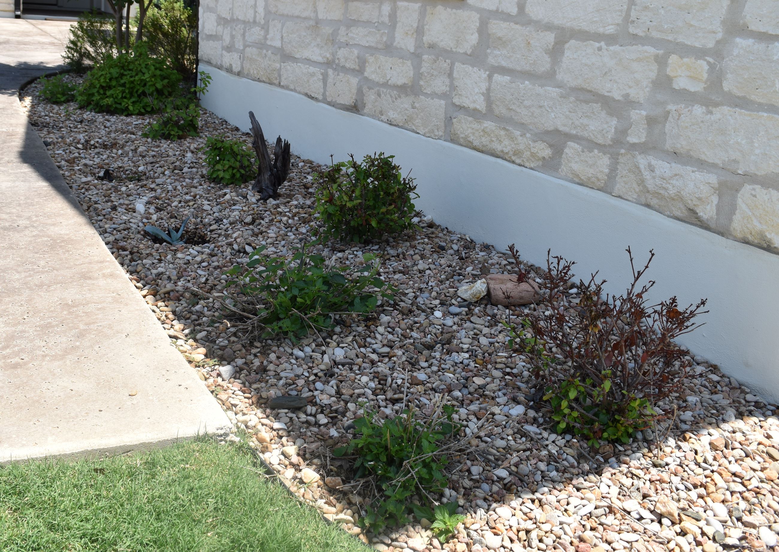 firewise landscaping 2
